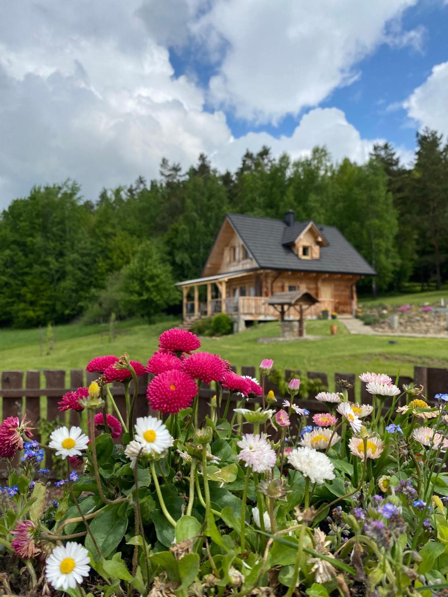 Ferienwohnung Jurkowa Wola Jureczkowa Exterior foto